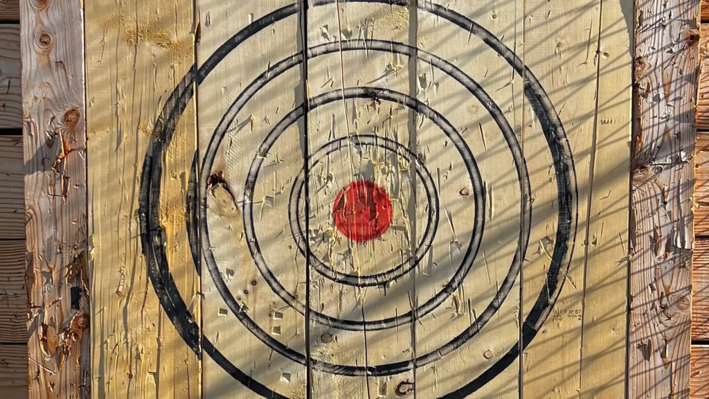 simple axe throwing target with black rings and red bullseye